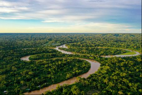 vista aérea da floresta amazônica